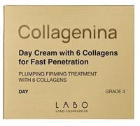 Collagenina Crème de jour pour le visage Grade 3 avec 6 collagène pour une pénétration rapide 50 ml