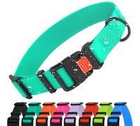 CollarDirect Collier Colorés Imperméables Réglable pour Chien pour Animaux de Compagnie pour Petits et Grands Chiens Rose Noir Bleu Menthe Vert Orange (Menthe Vert, 25-33 cm)