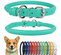 CollarDirect Collier de Chien en Cuir roulé, Collier de Chiot Rond rembourré Doux, Collier en Cuir véritable Fait à la Main pour Petit Grand Collier de Chat (35-40 cm, Vert Menthe texturé)