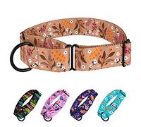 CollarDirect - Collier Martingale pour Chiens - Solide - Motif Floral - en Nylon - pour entraînement de sécurité féminine - Large et Moyen