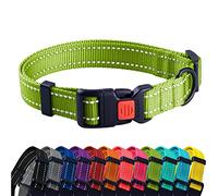 CollarDirect Collier pour Chien Réfléchissant pour Petit et Grand Chien avec Une Boucle à Détachement Rapide - Mâle et Femelle- 48 Options Nylon (Citron Vert, 25-33 cm)