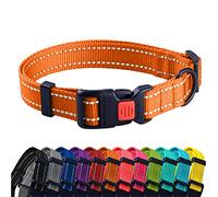 CollarDirect Collier pour Chien Réfléchissant pour Petit et Grand Chien avec Une Boucle à Détachement Rapide - Mâle et Femelle- 48 Options Nylon (Orange, 45-66 cm)