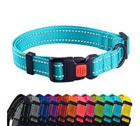 CollarDirect Collier pour Chien Réfléchissant pour Petit et Grand Chien avec Une Boucle à Détachement Rapide - Mâle et Femelle- 48 Options Nylon (Bleu Clair, 25-33 cm)