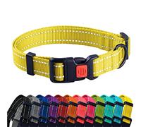 CollarDirect Collier pour Chien Réfléchissant pour Petit et Grand Chien avec Une Boucle à Détachement Rapide - Mâle et Femelle- 48 Options Nylon (Jaune, 45-66 cm)