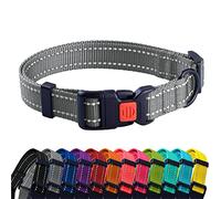 CollarDirect Collier pour Chien Réfléchissant pour Petit et Grand Chien avec Une Boucle à Détachement Rapide - Mâle et Femelle- 48 Options Nylon (Gris, 35-45 cm)