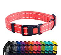 CollarDirect Collier pour Chien Réfléchissant pour Petit et Grand Chien avec Une Boucle à Détachement Rapide - Mâle et Femelle- 48 Options Nylon