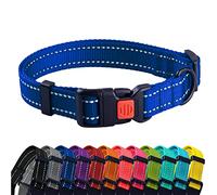 CollarDirect Collier pour Chien Réfléchissant pour Petit et Grand Chien avec Une Boucle à Détachement Rapide - Mâle et Femelle- 48 Options Nylon (Bleu, 25-33 cm)