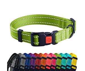 CollarDirect Collier pour Chien Réfléchissant pour Petit et Grand Chien avec Une Boucle à Détachement Rapide - Mâle et Femelle- 48 Options Nylon (Citron Vert, 25-33 cm)