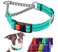 CollarDirect Collier réfléchissant pour Chien Colliers Martingale Boucle à dégagement latéral Chaîne d'entraînement Colliers réglables pour Animaux de Compagnie (41-54 cm, Vert Menthe)