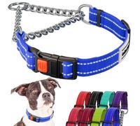 CollarDirect Collier réfléchissant pour Chien Colliers Martingale Boucle à dégagement latéral Chaîne d'entraînement Colliers réglables pour Animaux de Compagnie (41-54 cm, Bleu)