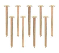 COLLBATH 10pcs Piquets d'Arpentage Permanents en Galvanisation, Bornes de Propriété pour Points de Contrôle d'Arpentage et Points de Nivellement, Professionnels, 10 Pièces