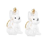 COLLBATH 2 Pièces Porte-clés Capsule Transparente pour Poils de Chien Boîte de Rangement Mini Portable pour Souvenirs Commémoratifs Animaux Pendentif Mémoire pour Collection de Poils