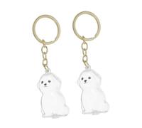 COLLBATH 2 Pièces Porte-clés Commémoratif Chien avec Boîte Transparente pour Souvenir Poils Animaux Charm Pratique pour Conserve Cheveux Perdus