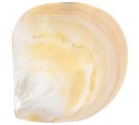 COLLBATH Assiette à Dessert en Coquille Naturelle de 9-10 CM Assiette Décorative Unique de Conque Plaque de Coquille pour Apéritifs et Rangement Usage Quotidien et Réception