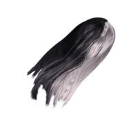 COLLBATH Perruque Droite Longue Synthétique Noire et Grise pour Femmes Style Ombré Résistante Chaleur Cosplay et Fêtes