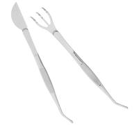 COLLBATH Pince de Précision Acier Inoxydable pour Bonsaï Ensemble avec Râteau et Spatule Outils de Jardinage pour Plantes Grasses et Mousses Léger et Entretien Facile