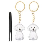 COLLBATH Porte-clés pour Animaux De Compagnie en Fourrure Porte-clés Souvenir en Poils d'animaux Pendentif en Poils De Chien Souvenir en d'animaux