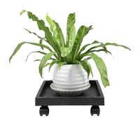 COLLBATH Soucoupe Carrée à roulettes Noire, Base pour Grands Pots 260mm | Plastique et Résine, Roues Pivotantes 360°, Supporte les Charges Lourdes, Usage Patio et Protection du Sol