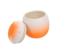 COLLBATH urne pour Animaux de Compagnie Urne en Forme de Chat urne de crémation pour Animaux de Compagnie Jar Souvenir des Cendres de Chien Petite urne de Dessin animé céramique Orange