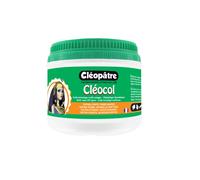 Colle À Wepam Cléocol 500 G