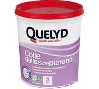 Quelyd Colle Dalles de Plafond Polystyrène - Colle en Pâte Prête à l'Emploi pour Dalles, Poutres, Moulures et Panneaux Isolants Légers - Intérieur - Sans Solvant - Blanc - Seau de 1 kg (3 m²)