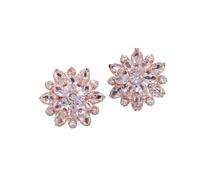 Colle Décor Perceuse Examen Kits Screw Back Earrings Birthstone Cartilage Earring Stud Tragus Piercing Earring Dainty Jewelry Fournitures Kits Outils Trousse Bijoux (Rose Gold, One Size)