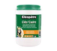 Cléopâtre - Colle d'encadrement Cléo'Cadre MD1-1000 - Pot de 1 kg
