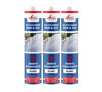 Colle ms, polymère, mastic d'étanchéité Blanc Pur - RAL 9010 290 ml x 3 - ARCANE INDUSTRIES