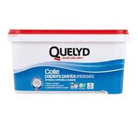 Quelyd Colle Papiers Peints Intissés en Pâte - Toutes Pièces - Application Directement Au Mur - Prête à l'Emploi - Sans Solvant - Seau de 5 kg