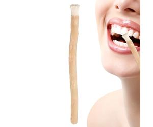Colle pour les dents, naturel 20 cm | Brosse à dents naturelle pour soin des dents, utilisation quotidienne de voyage portable, brosse à dents en bois organique | Hygiène quotidienne