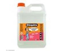 Cléopâtre Colle transparente CT2L Sans solvant Économique Bidon 2 kg