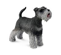 Collecta