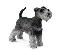 Collecta