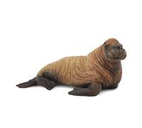 Collecta