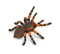 Collecta - 3388338 - Animal - Figurine - Collecta Insectes - Mygale