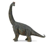 Collecta Figurine de dinosaure Scale Brachiosaures 3388405 27,5 x 28,5 cm – dès 3 ans