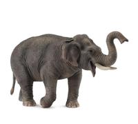 Collecta - Figurine Eléphant d'Asie (3388486)
