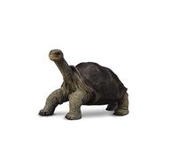 Collecta - 3388619 - Figurine - Animaux Sauvages - Galápagos Tortue Géante