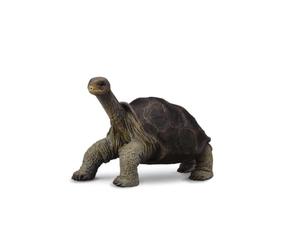 Collecta - 3388619 - Figurine - Animaux Sauvages - Galápagos Tortue Géante