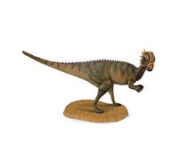 Collecta - 3388629 - Figurine - Dinosaure - Préhistoire - Pachycephalosaurus
