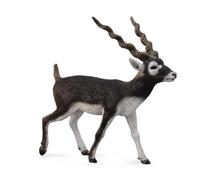 Collecta - Figurine 3388638 - Animaux sauvages Antilope