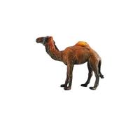Collecta 88208 Droméda 11 cm Animaux sauvages