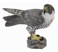 Collecta 88399 Faucon pèlerin 6 cm Animaux sauvages