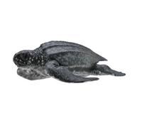 Collecta 88680 Tortue en cuir 8 cm Animaux aquatiques