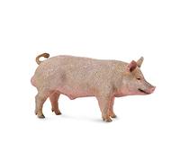 Collecta 88864 Cochon mâle