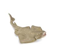 Collecta - Figurine à collectionner - Requin-Ange - Taille M - (Deqube 90188999)