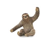 Collecta – Animaux Sauvages (L) Paresseux – 8,4 x 8,1 cm