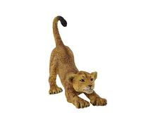 Collecta Animaux Sauvages (S): LIONCEAU 6x2x5cm