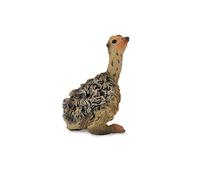 Collecta Animaux Sauvages (S): Poussin d'AUTRUCHE Assis 2x1,5x4,5cm