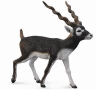 COLLECTA Antilope Black Buck - (L)